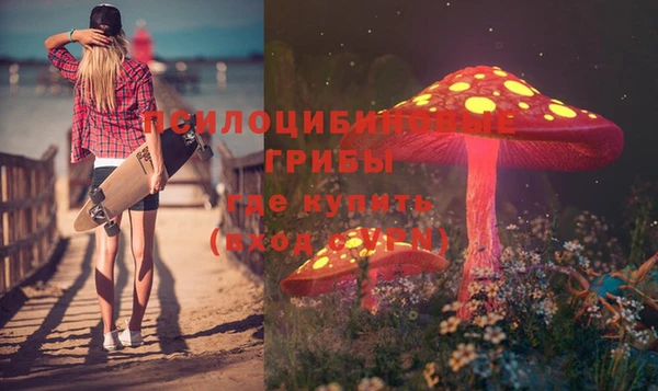 МДПВ Алексин